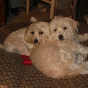 Meet your Posher, Val